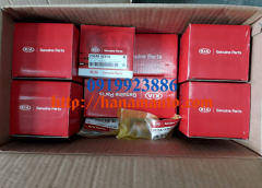 0K75A23200-0919923886-thacotruonghai-hanamauto